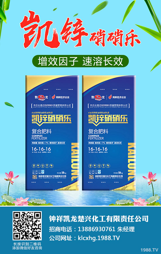 什么是有機大白菜，有機大白菜種植要點有哪些？