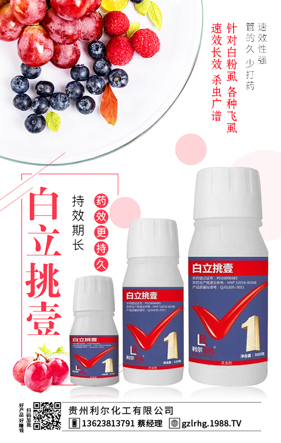 �F�������������޹�˾