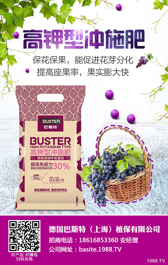 西葫蘆為什么會(huì)化瓜，西葫蘆化瓜原因及防治匯總！
