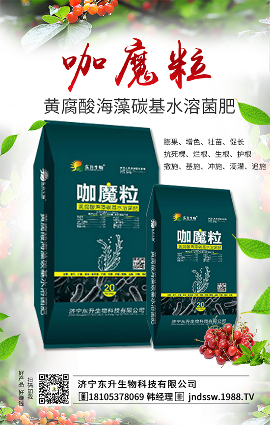 大棚草莓旺長的原因,大棚草莓旺長解決措施