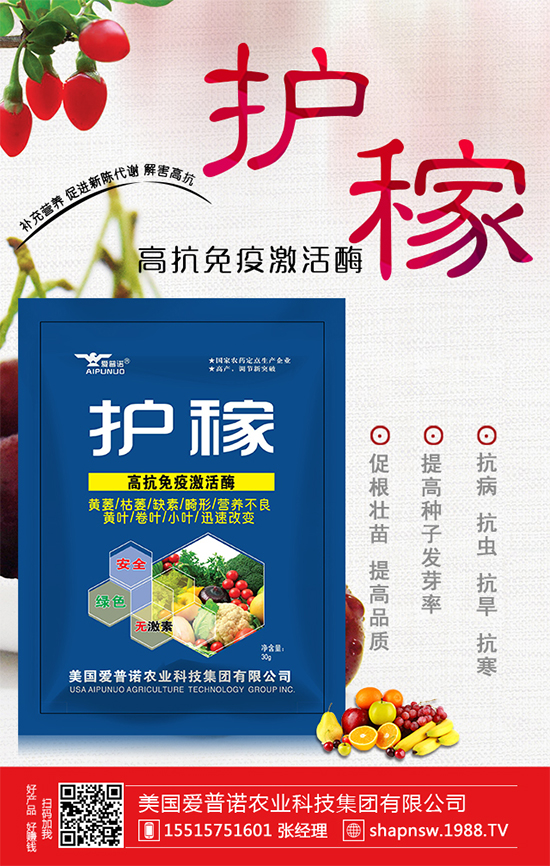 秋冬菠菜種植品種怎么選?越冬菠菜凍藏方法要點(diǎn)!