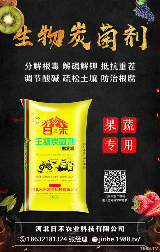 ���[��ֲ�������ˆ������[��ֲ����ֲ���������