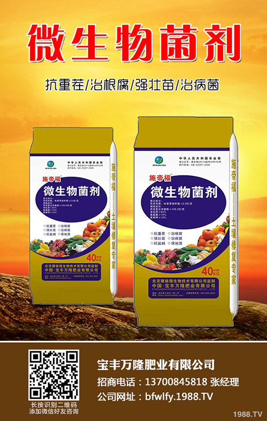 ���m���Nֲ��������Щ�����m���Nֲע�����(xi��ng)��