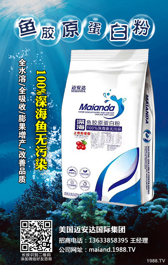     2020年香菇種植賺錢么？前景怎樣？種植品種推薦！