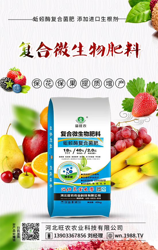 番茄卷葉發(fā)生原因，番茄卷葉防控措施！