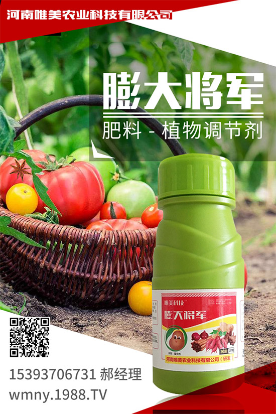 ������ݮ���ʩ���������ߴ���ĵر�ضȣ�