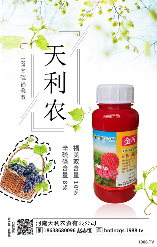 冬棗縮果病是咋回事？冬棗縮果病發(fā)病癥狀、原因和防治措施！