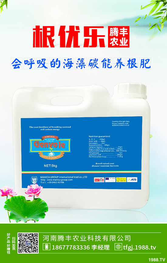 石榴褐斑病導(dǎo)致發(fā)黃落葉怎么辦？石榴褐斑病的防治要點！