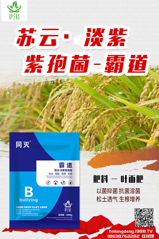 如何種植盆栽玫瑰，盆栽玫瑰的種植方法和注意事項(xiàng)！