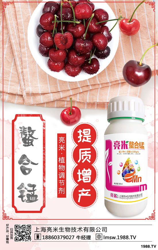 �S�������Щ�I(y��ng)�B(y��ng)�r(ji��)ֵ���S����߮a(ch��n)���༼�g(sh��)