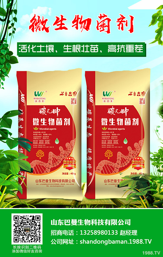     復(fù)合肥行業(yè)拓開(kāi)新市場(chǎng)！2019年11月下旬復(fù)合肥行情走勢(shì)分析！