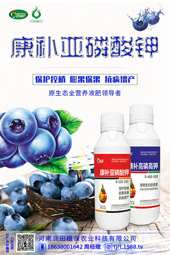 地老虎有什么危害特點？馬鈴薯地老虎的防治措施！