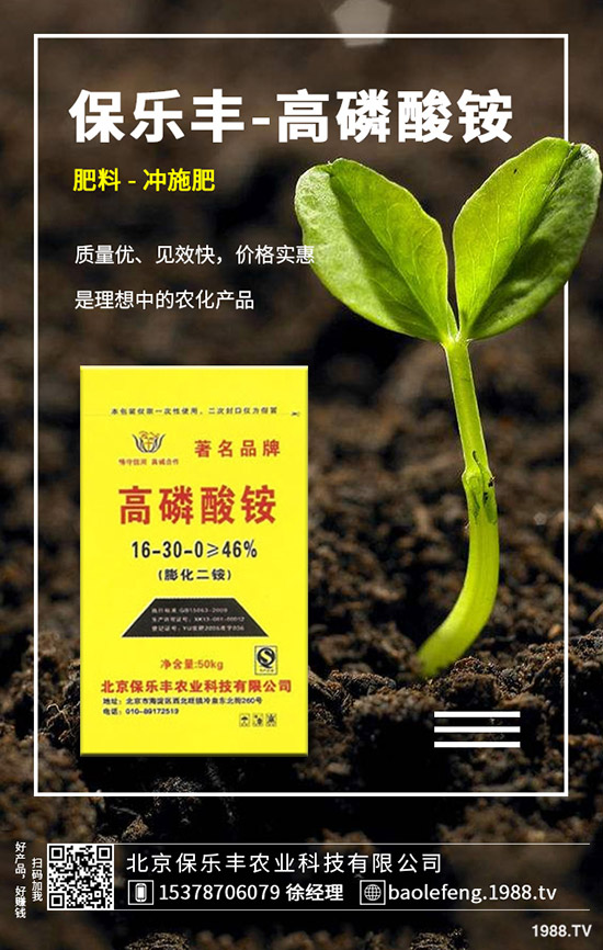 蘿卜病毒病發(fā)生規(guī)律有哪些？蘿卜病毒病防治要點！