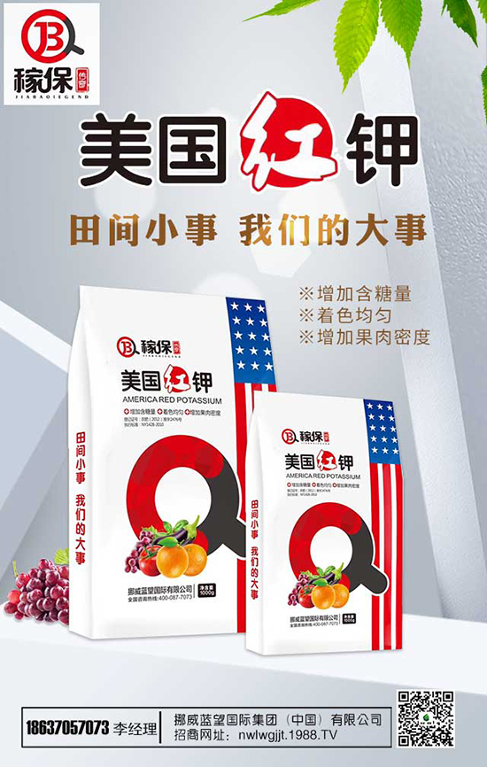 瑞香花養(yǎng)殖方法有哪些？瑞香花養(yǎng)殖注意事項(xiàng)！