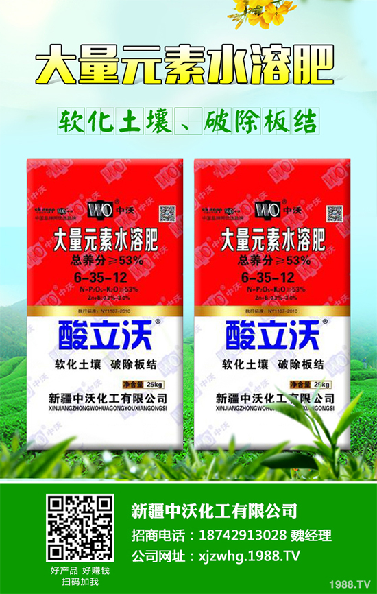 白皮松經(jīng)濟效益如何？2020白皮松的種植前景分析