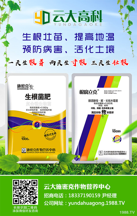 ��������ֲ��Ƥ�Ɇ�����Ƥ�ɶ�����ֲ����