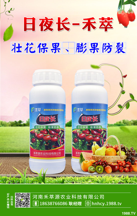 菠菜炭疽病的病因有哪些？菠菜炭疽病的防治要點！