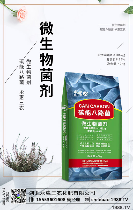     2020年野菜種植賺錢么？一畝能掙多少錢？種植效益如何？