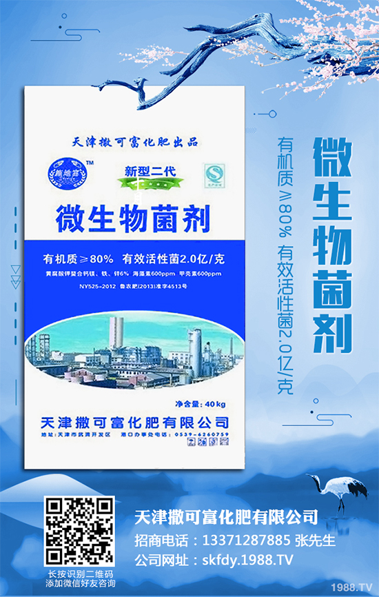 ��Ƥ�����Ժ���S��զ������ԓ��ô��Q�����(l��i)������