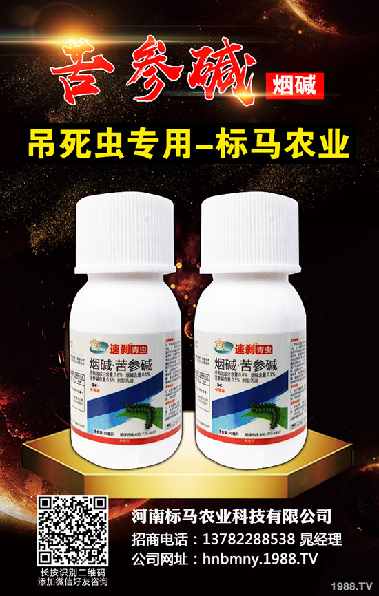 �������x��Σ���Y��l(f��)���l������������Щ���η�����