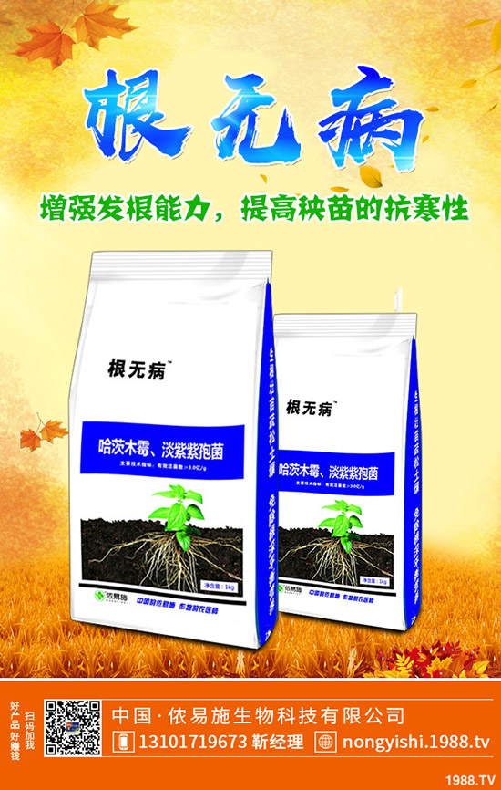     ���@�����Ј�����������������@�������S��rһ�[2019-11-4