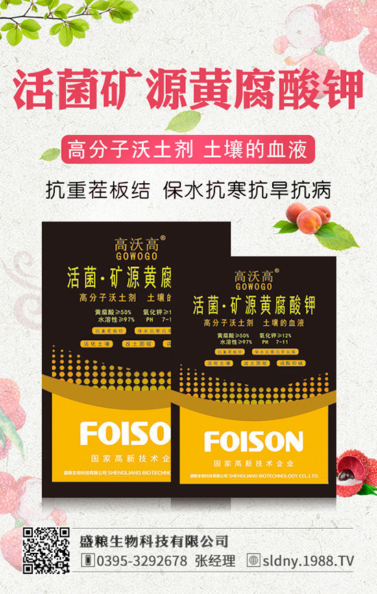 ʢ�Z����Ƽ����޹�˾1