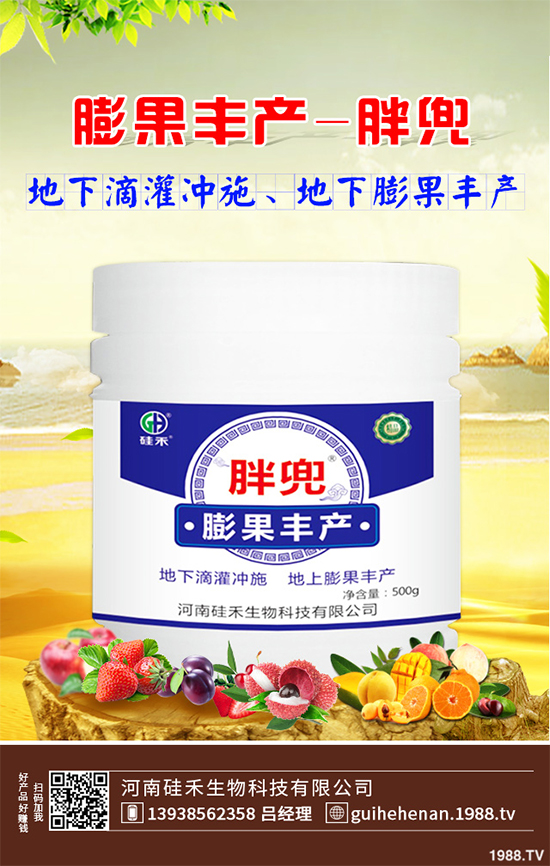 大棚西芹你知道該如何種植嗎？大棚西芹種植管理技術(shù)