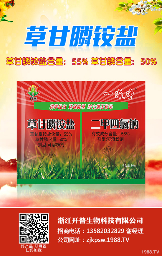 花椰菜干燒心病3