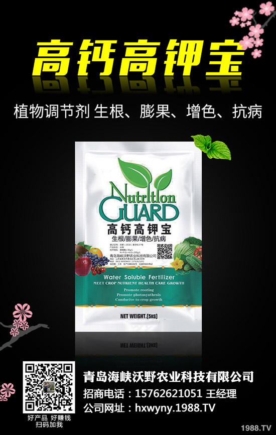 С�����s��ʲô�r����θ�����С���s�ݽ�Q������