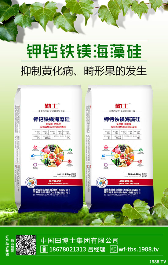     2019年11月8日最新鉀肥行情走勢預(yù)測，氯化鉀出廠報價一覽