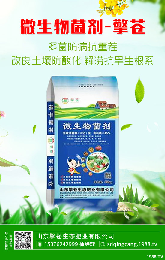     ӡ���ٴ��И�(bi��o)��2019��11��8�ս��ո��؅^(q��)�����������S��(b��o)�r(ji��)һ�[