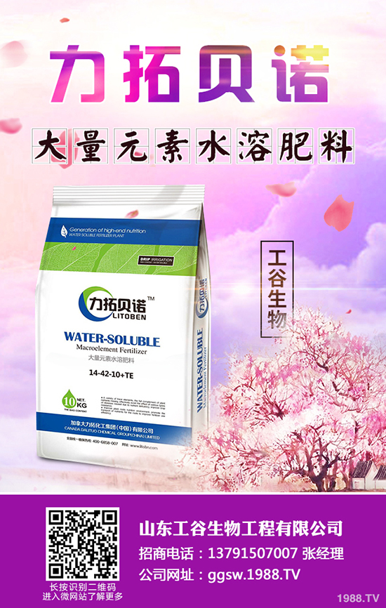     2019��11�³�����������Ј��r����������������A�y