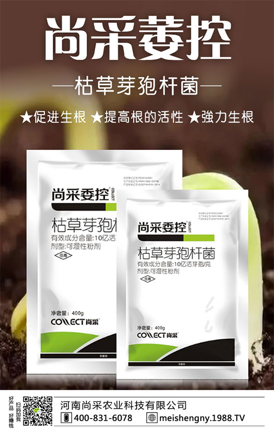 大棚草莓技巧及管理方法,大棚草莓施肥要點!