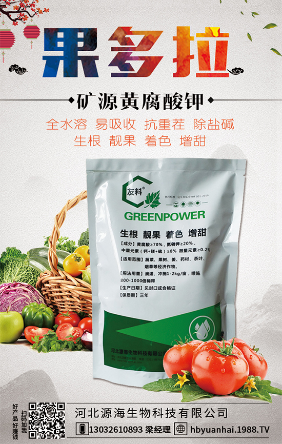 大蒜今日價(jià)格多少錢一斤？2020年大蒜種植前景如何？