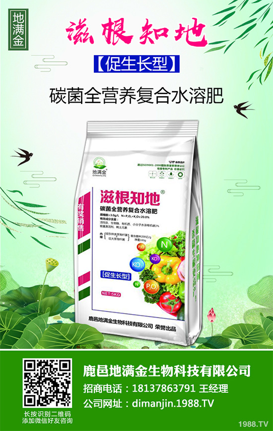 蔓荊子多少錢一斤？2020年蔓荊子種植前景及效益分析