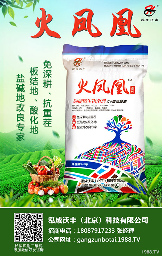     2020年種植生姜賺錢么？前景怎樣？一畝生姜投資及效益分析！