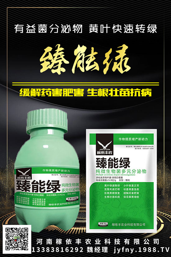 ��N�S�ʺܳ�Ҋ��Ԫ�غ�������������Ҫ֪���c�M��������