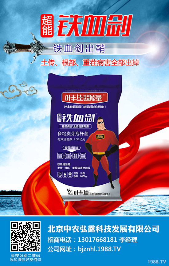 2019��12��17�Շ��ȸ��؅^(q��)⛷ʳ��S��rһ�[