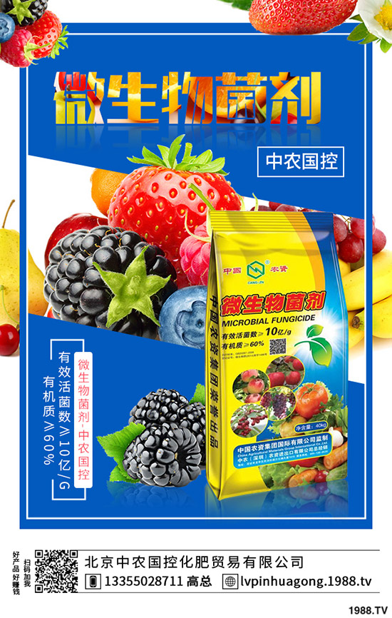 ���؃r�����{(di��o)�������˶�����2019.12.17�������؃r������