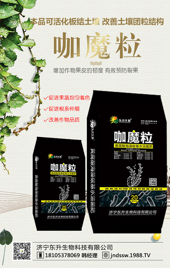黑玉米價(jià)格多少錢一斤？2020年種植前景及效益分析！