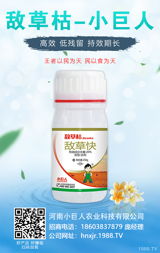 �o�����Nֲ������ô��������܌��F(xi��n)�Nֲ�߮a(ch��n)��