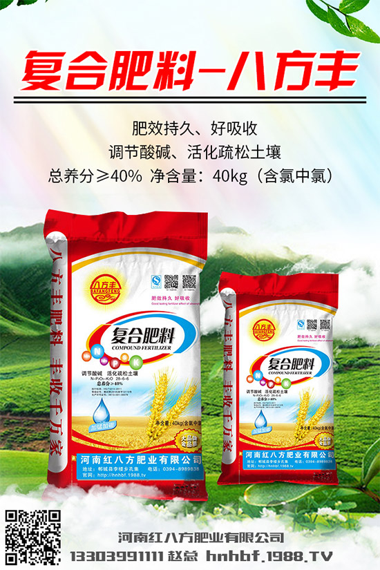 吃蘑菇有什么好處？蘑菇的營養(yǎng)價值及功效作用