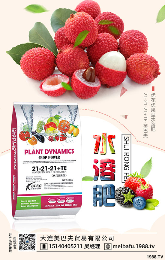 2019-12-19���@�r(ji��)�����f�Ӹ߲��������؅^(q��)���@���������