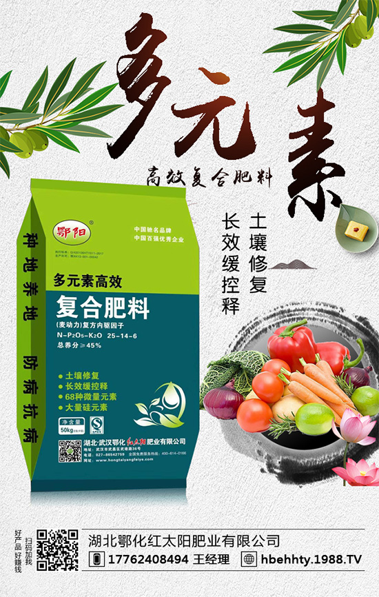 洋蔥什么時間種植？洋蔥的種植要點！