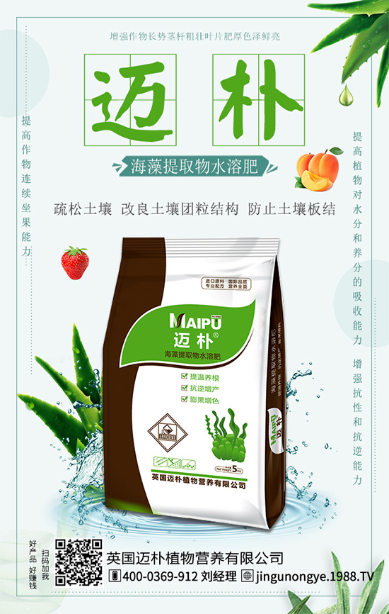 吃柑橘有什么好處？柑橘的營養(yǎng)價值！