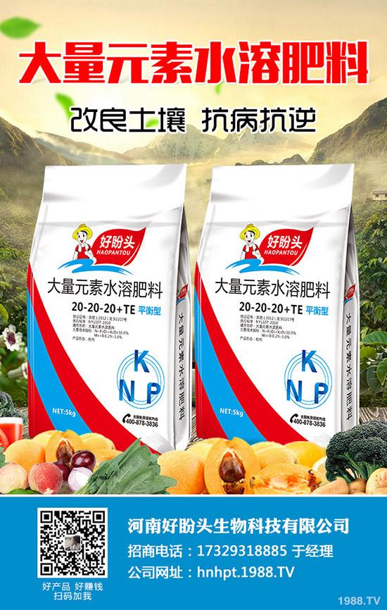 С������ĺ�̎����Щ��С������ע��Ҫ�c��