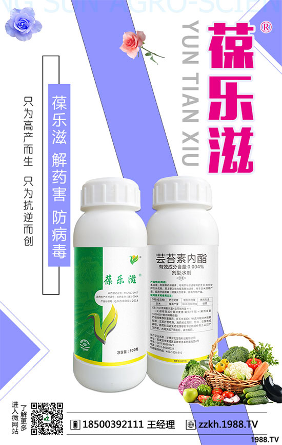 花椰菜黑腐病危害有哪些？花椰菜黑腐病的防治措施！