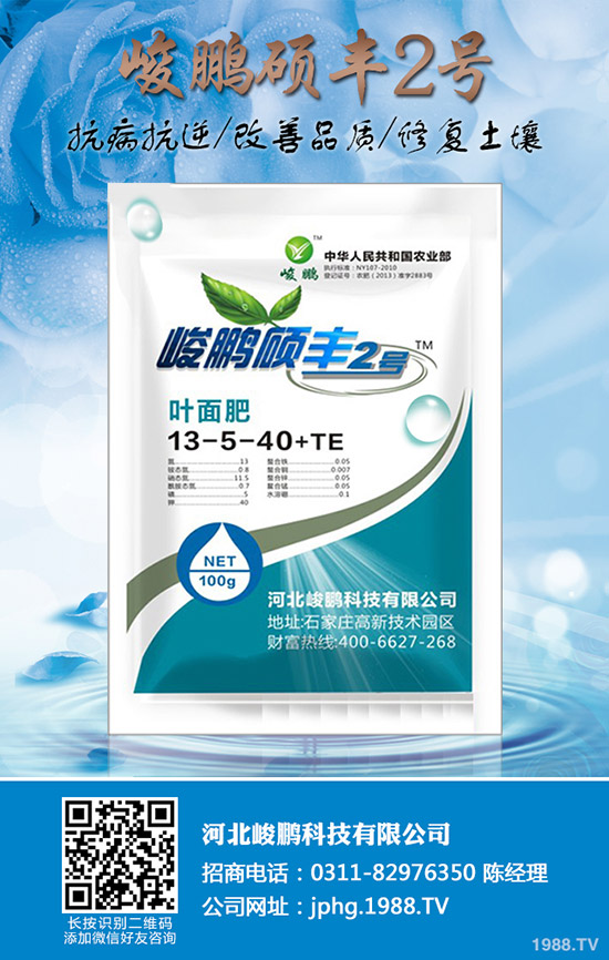 ����ʲô�r(sh��)��׷�ʣ�����׷��ע��Ҫ�c(di��n)��