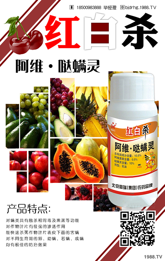 �����o�ݲ��Y�� �����o�ݲ����η���