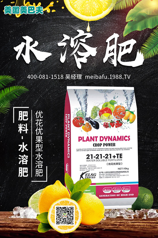 茶油樹如何種植?茶油樹育苗技術及種植和管理方法!